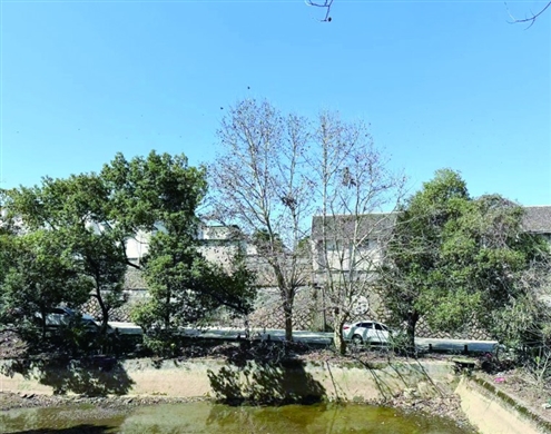 这是发现胡某宇尸体仓库的附近◎山东商报·速豹新闻网记者王远孙倩发自江西铅山